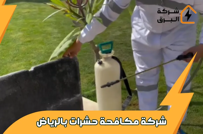 خدمات أفضل شركات مكافحة الحشرات بالرياض