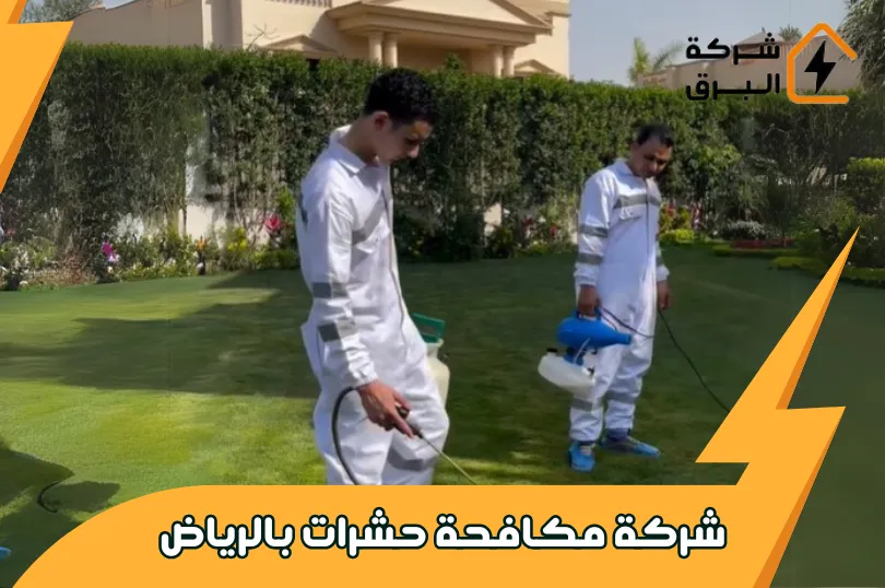 شركة مكافحة حشرات بالرياض