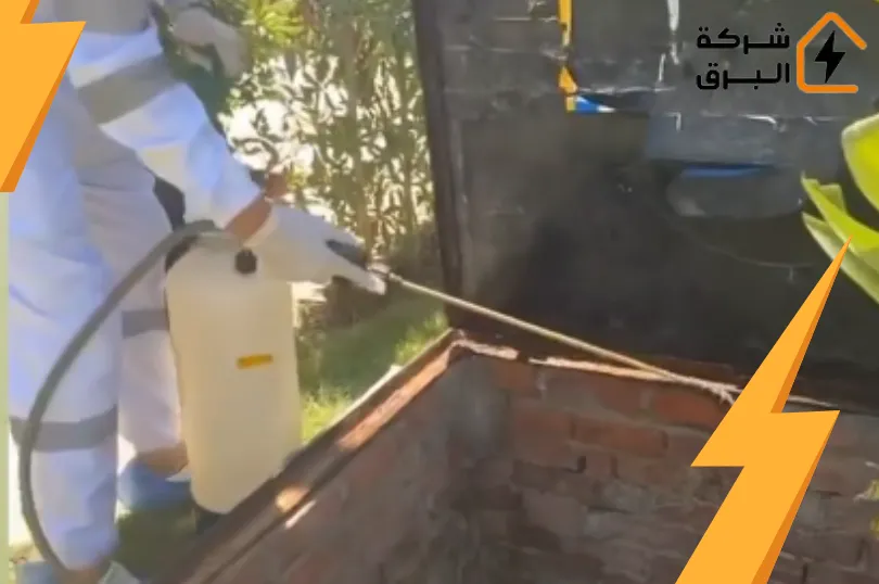 ارقام شركات مكافحة بق الفراش بالرياض