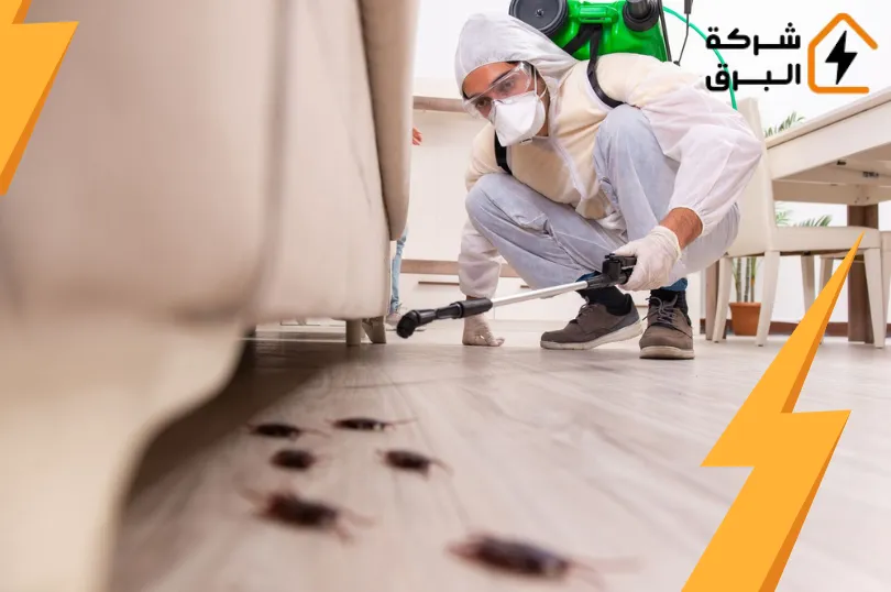 شركة مكافحة الصراصير الكبيرة بالرياض