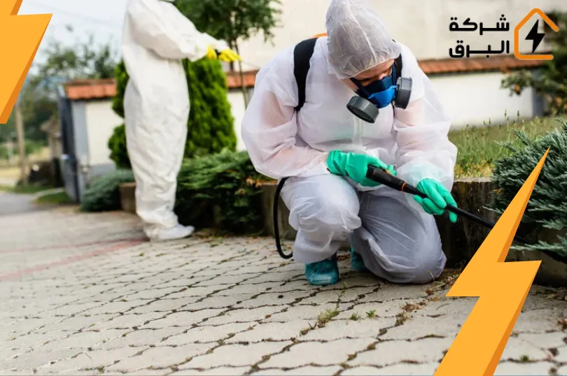 شركة مكافحة فئران بالرياض 
