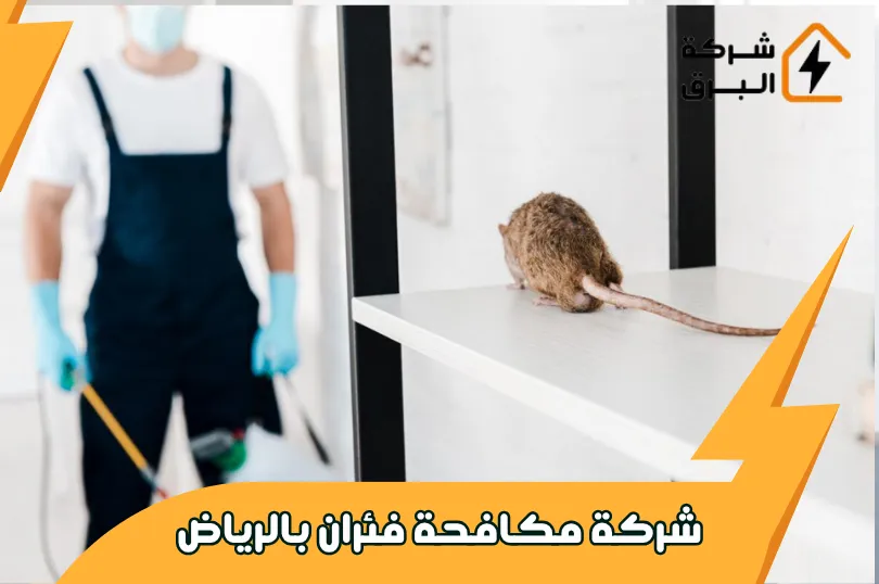 شركة مكافحة فئران بالرياض