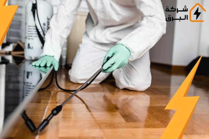 شركة مكافحه الصراصير بالرياض
