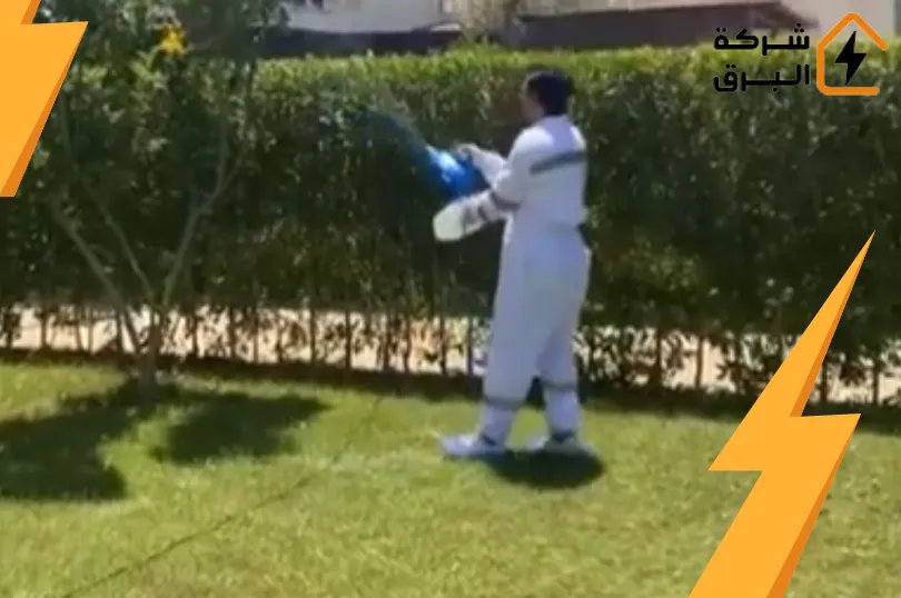 خدمة مكافحة الحشرات بالرياض