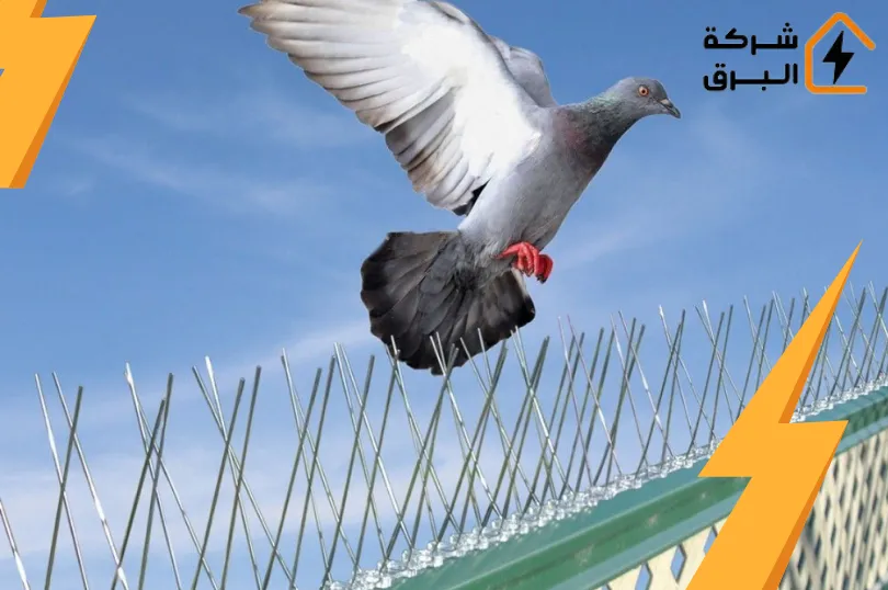 شركة تركيب طارد حمام بالرياض