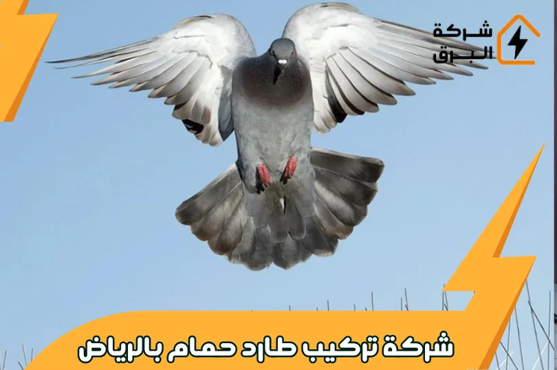 شركة تركيب طارد حمام بالرياض