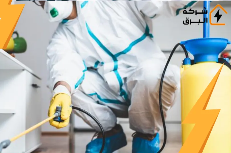 شركة مكافحة الوزغ بالرياض 
