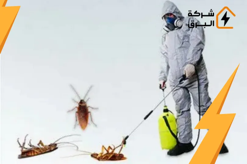 القضاء على الصراصير الصغيرة نهائياً