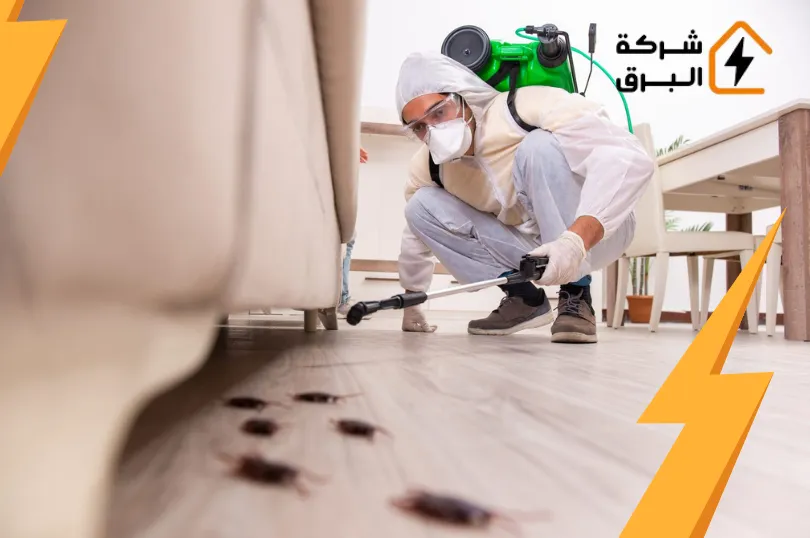 القضاء على الصراصير الصغيرة نهائياً