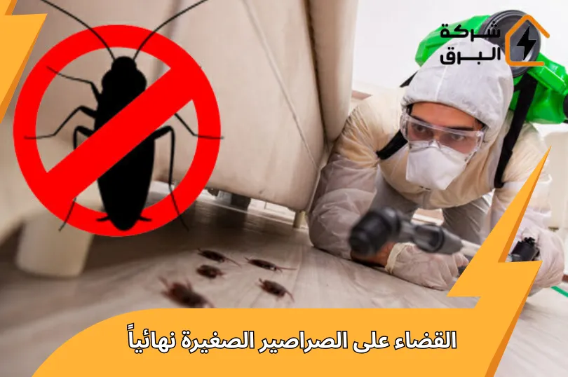 القضاء على الصراصير الصغيرة نهائياً | طرق فعالة 100%