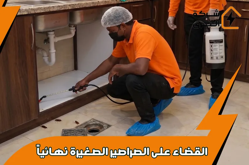 مكافحة صراصير المجاري مقابل صراصير المطبخ