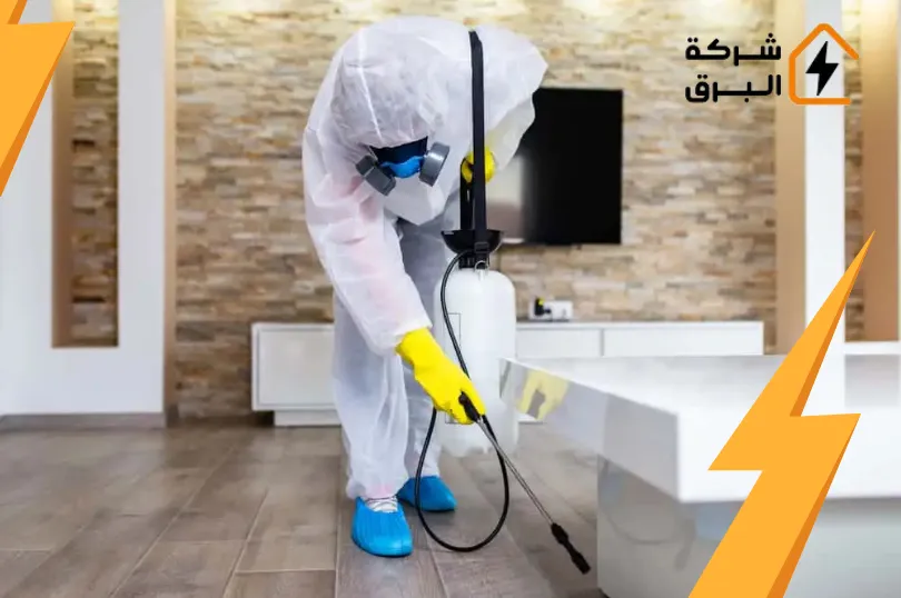 شركة رش المنازل من الحشرات