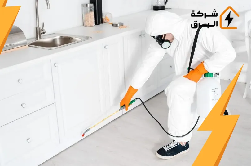شركة رش المنازل من الحشرات