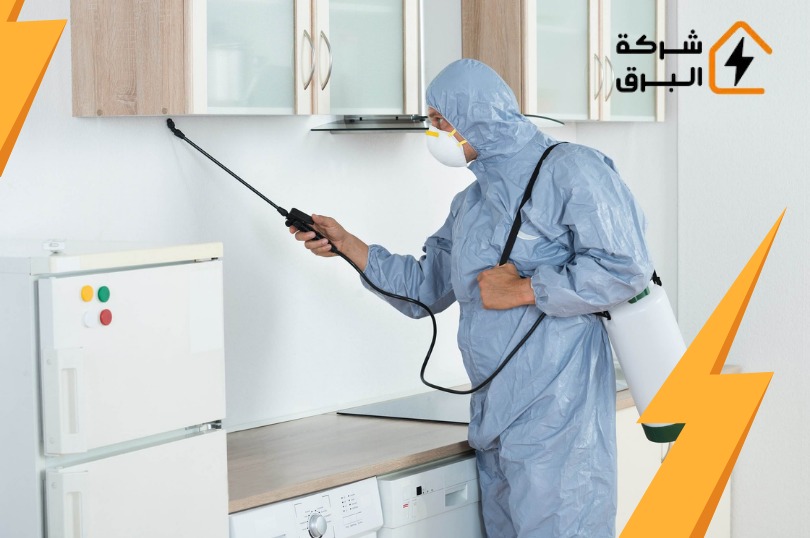 شركة مكافحة حشرات شمال الرياض