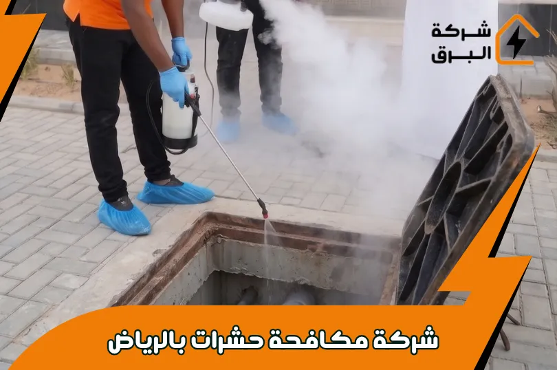 لماذا شركة البرق الخيار الأول لمكافحة الحشرات بالرياض؟