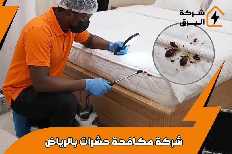 مكافحة بق الفراش بالرياض
